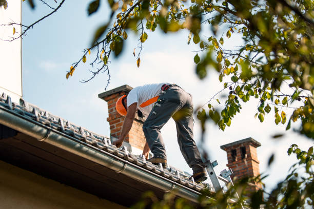 Roof Gutter Cleaning in Crystal, MN