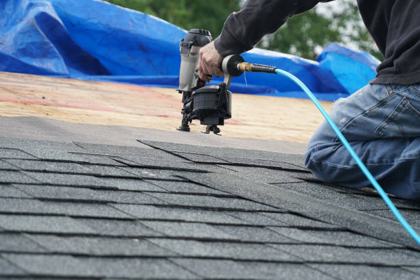 Best Flat Roof Repair Services  in Crystal, MN