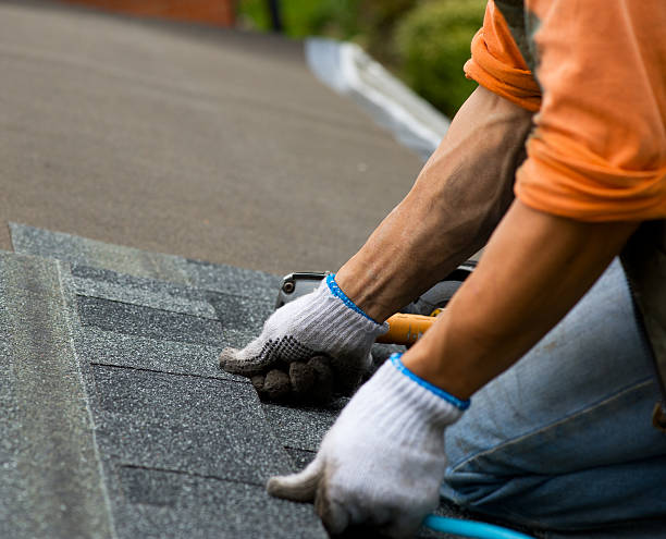 Best Roof Maintenance Services  in Crystal, MN