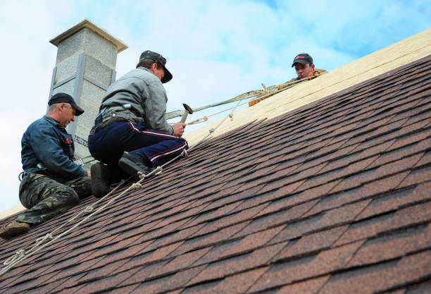Best Roof Waterproofing Services  in Crystal, MN